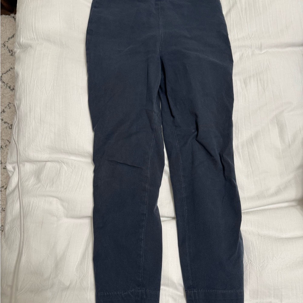 Everlane Navy Skinny Pants